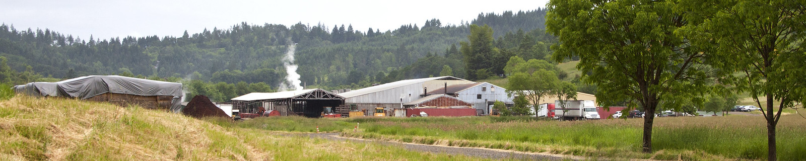 Wide view of the Yamhill County Mushrooms farm — barns, compost yard steaming, Willamette Valley trees beyond