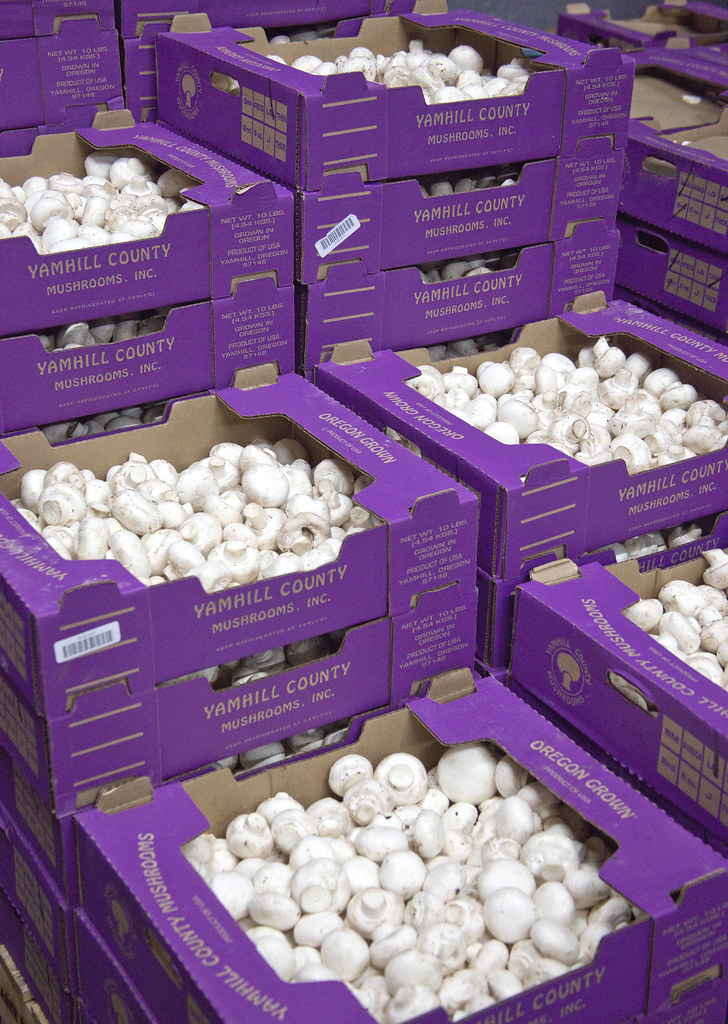 Stacked purple YCM cases of fresh whole crimini mushrooms