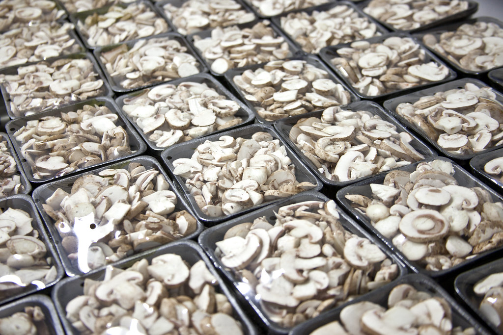 Specialty mushrooms from Yamhill County Mushrooms