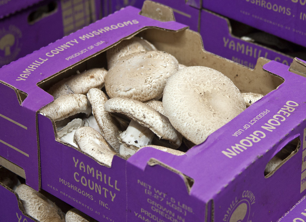 Fresh portabella caps in a purple YCM branded case